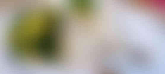 Restaurant Konoba Demizana - Budva