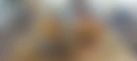 Locanda Blu - Rovinj