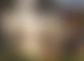 The Clubhouse - Tivat