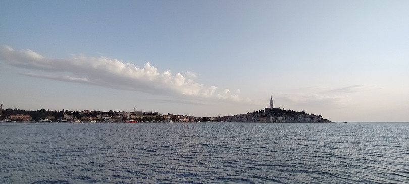 Dolphin Tour - Rovinj