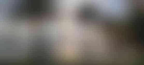 The Clubhouse - Tivat