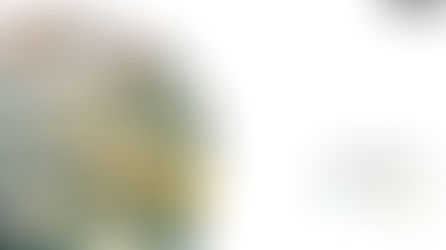 Profit, ROI and your Medical Practice