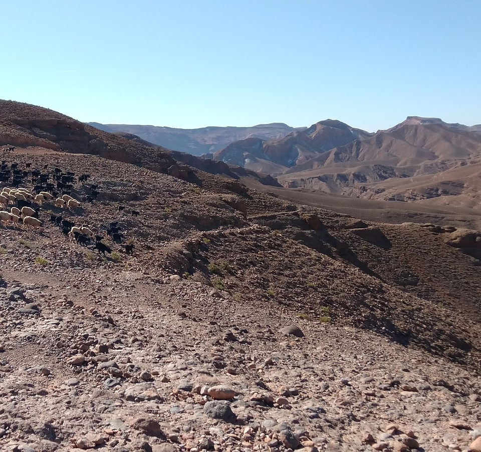 Sahara Atlas Tours - Dades Gorges