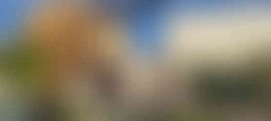 The Clubhouse - Tivat