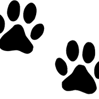 Dog-Paw-Prints_edited.png