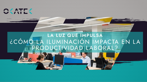 Productividad Laboral