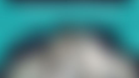 Cómo Resolver los Problemas Más Comunes Dentro de una Obra: Estrategias Clave para Arquitectos 🏗️💡