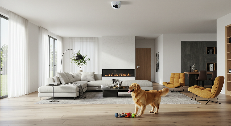 CCTV Golden Retriever