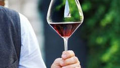 Contenants et dégustations