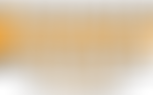 Tout, tout, tout sur la Patate