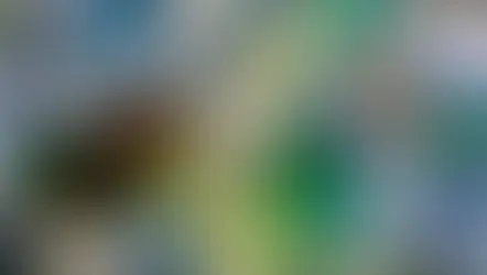 Le plastique, un fléau dont vous pouvez faire partie de la solution !