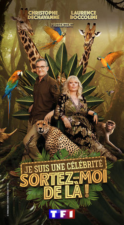 tf1