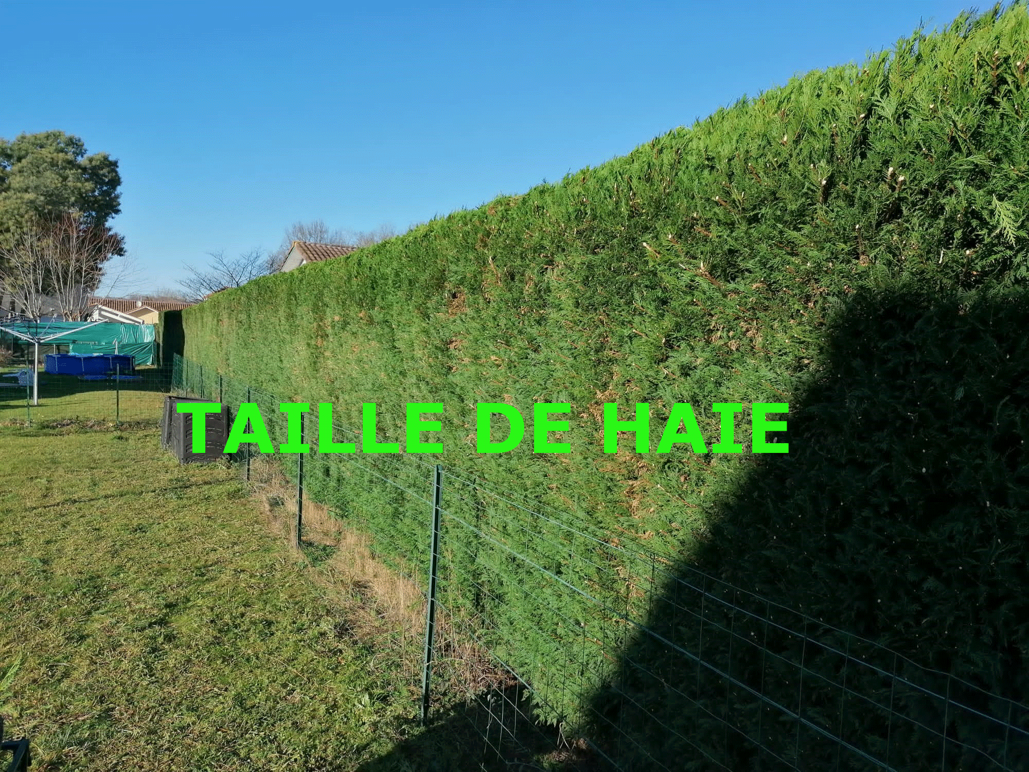 Taille-de-haies.gif