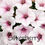Thumbnail: Petunia - Supertunia Vista