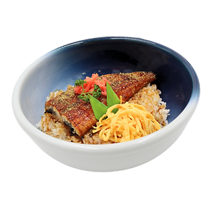 Unagi Don