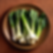 Garlic Bok Choy