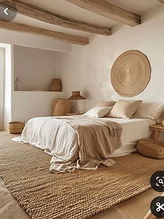 transferir (13).jpeg