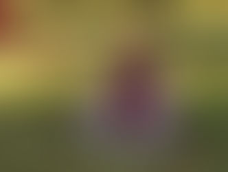 Çimenlik alanda bağdaş kurarak meditasyon yapan, kırmızı atkılı bir iş insanı; 2026 dijital pazarlama stratejilerinde bilinçli planlama ve doğru yatırım kararlarını simgeliyor.