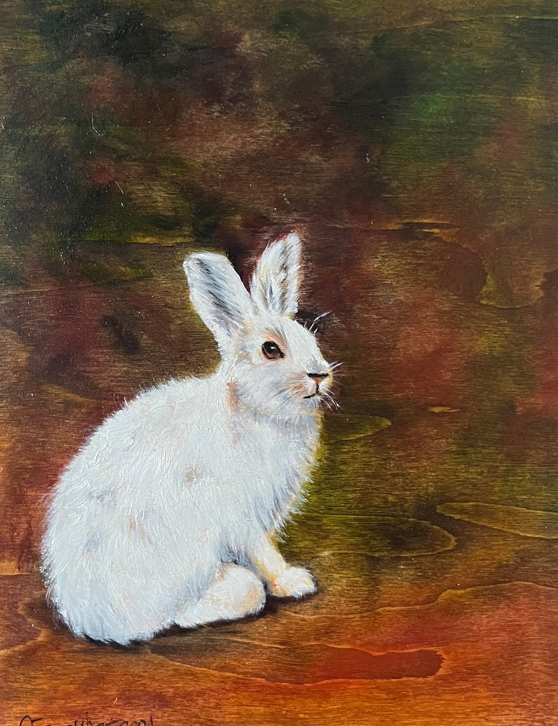 Thistle the White Rabbit, by Catherine Farquhar