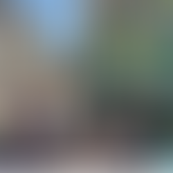 Voice from the Vicarage July 20th 2023