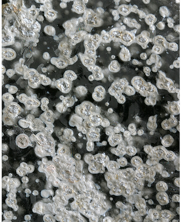 Design sans titre(29).png