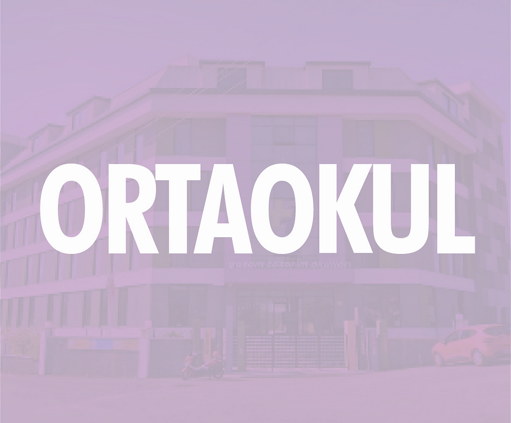 YAŞAM TASARIM WEB SİTE-Okullar-11_edited