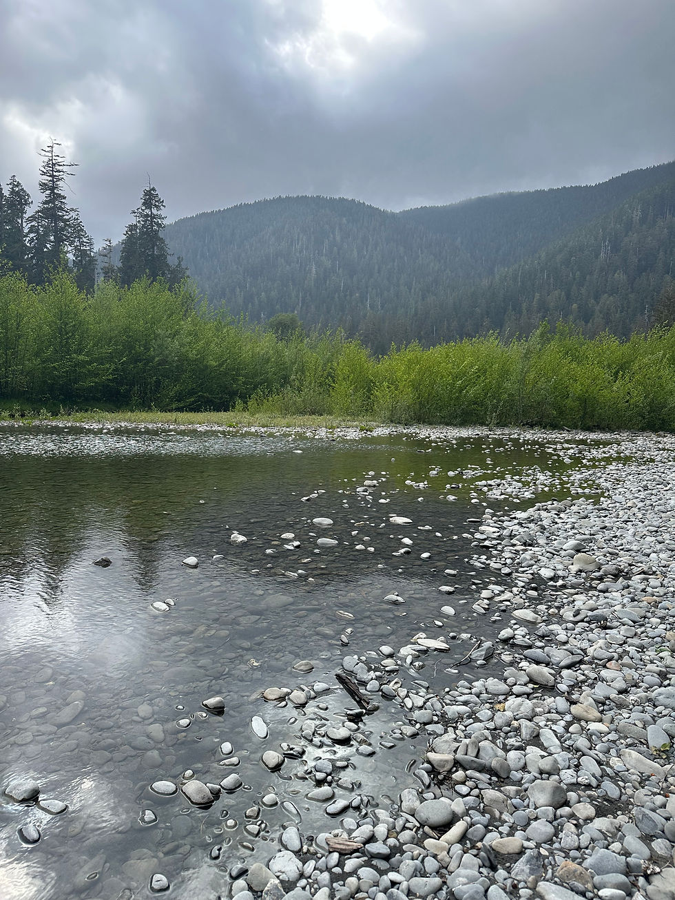 Wide angle view of a serene natural landscape