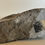 Thumbnail: Vintage Native Canadian Inuit Soapstone Otter Carving Figurine Jusi Qumaluk