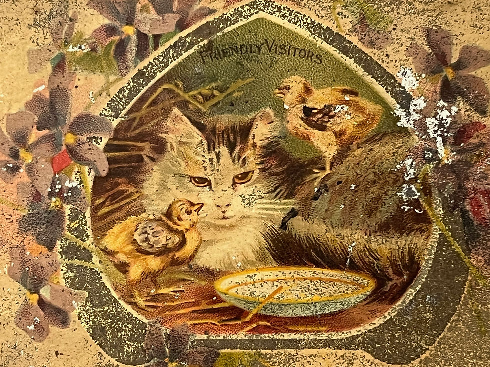 Thumbnail: Antique c1900 Kittens & Cats Biscuit Tin