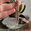 Thumbnail: Antique Gold Filled Albertina Watch Chain T Bar and Enamelled Flower Basket Fob