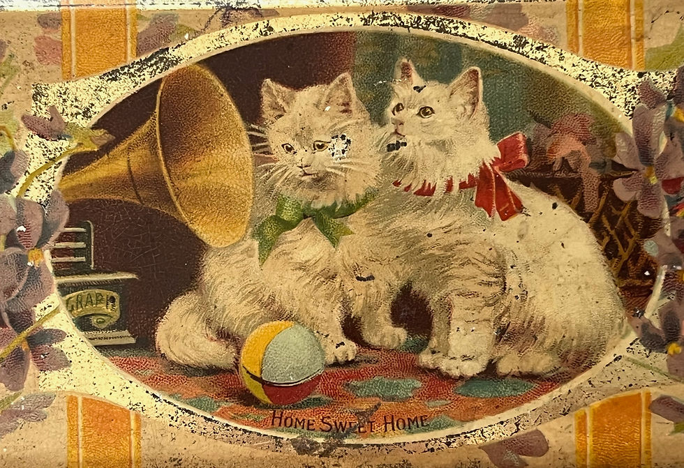 Thumbnail: Antique c1900 Kittens & Cats Biscuit Tin