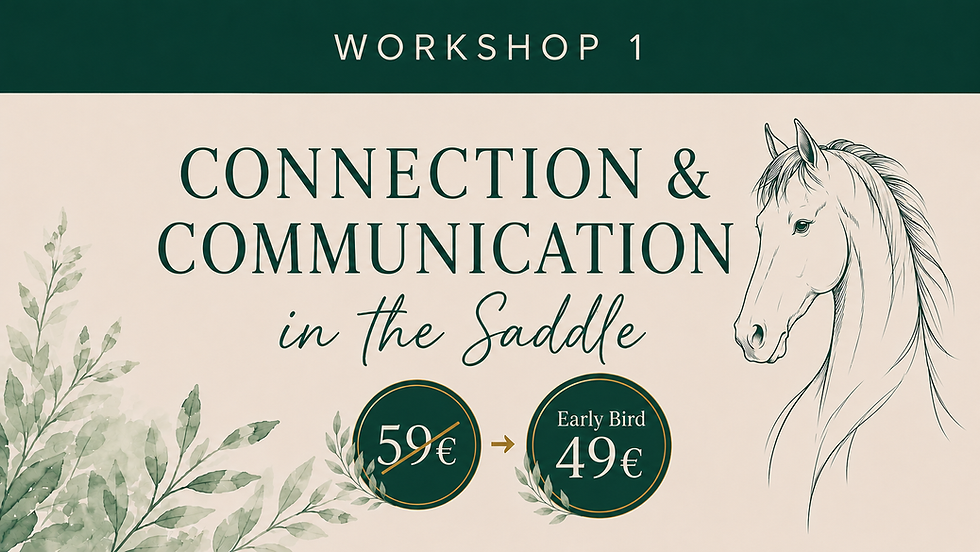 Workshop 1: Connection & Communication in the Saddle