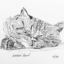 Leo