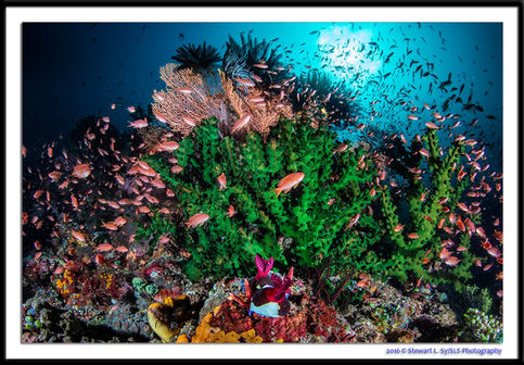 Philippines wins big at the World Travel Awards 2020!