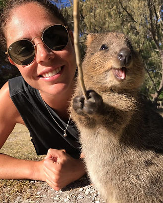 Rottnest-Quokkas-1DwmuwtNXQAATR6Z.jpeg