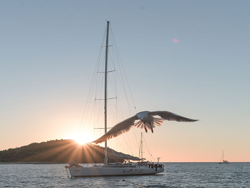 Thumbnail: Broomstick Whitsunday Sailing