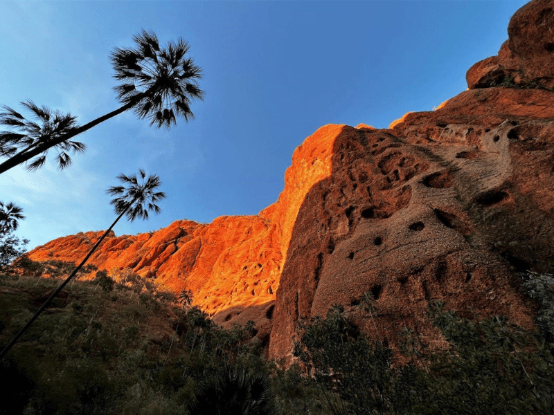 Thumbnail: Wild 10 day Broome to Darwin Group Tour