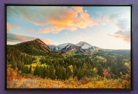 aluminum metal prints at Pixels Foto and Frame in Sandy, Utah