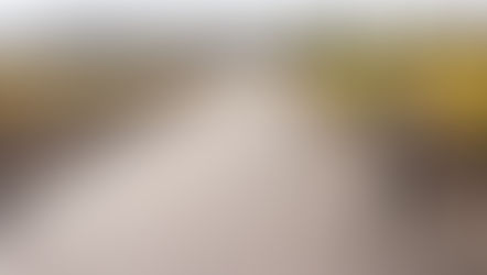 Toast Host Travels: Fall/Winter Sacramento Trip Guide