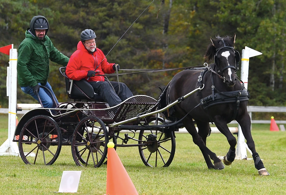 Back2Back BHP Driving Derby