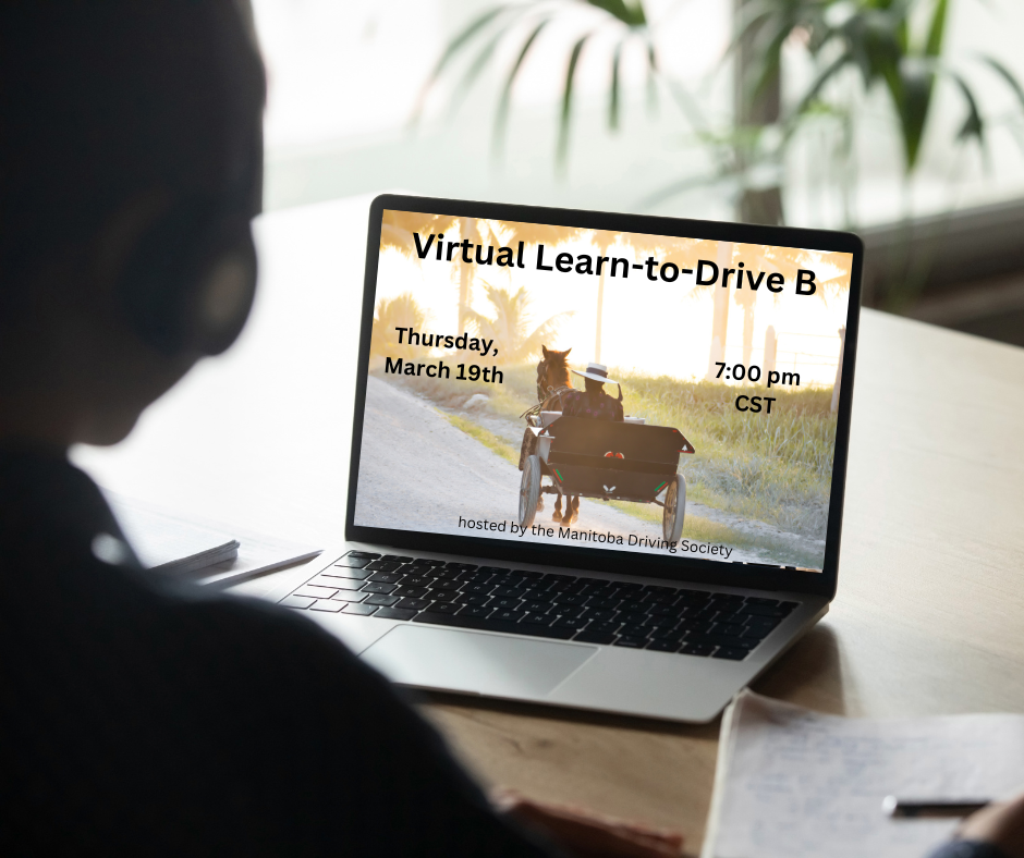 Virtual Learn-to-Drive B