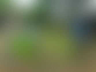 Lleva SEBIEN apoyos a Nuevo Morelos