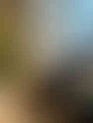 brindes de natal afbr group