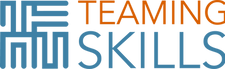 thumbnail_TeamingSkillzLogoHori_edited.p