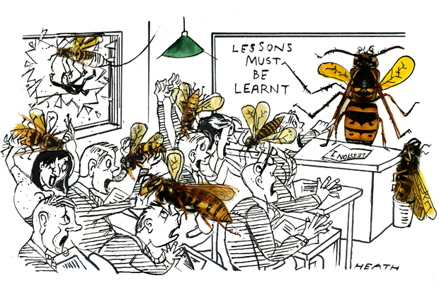 International Wasp Day
