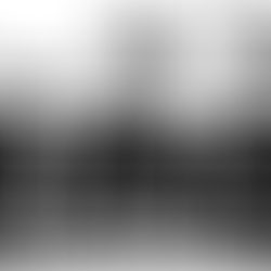 DINO Triathlon Update 06-17-24