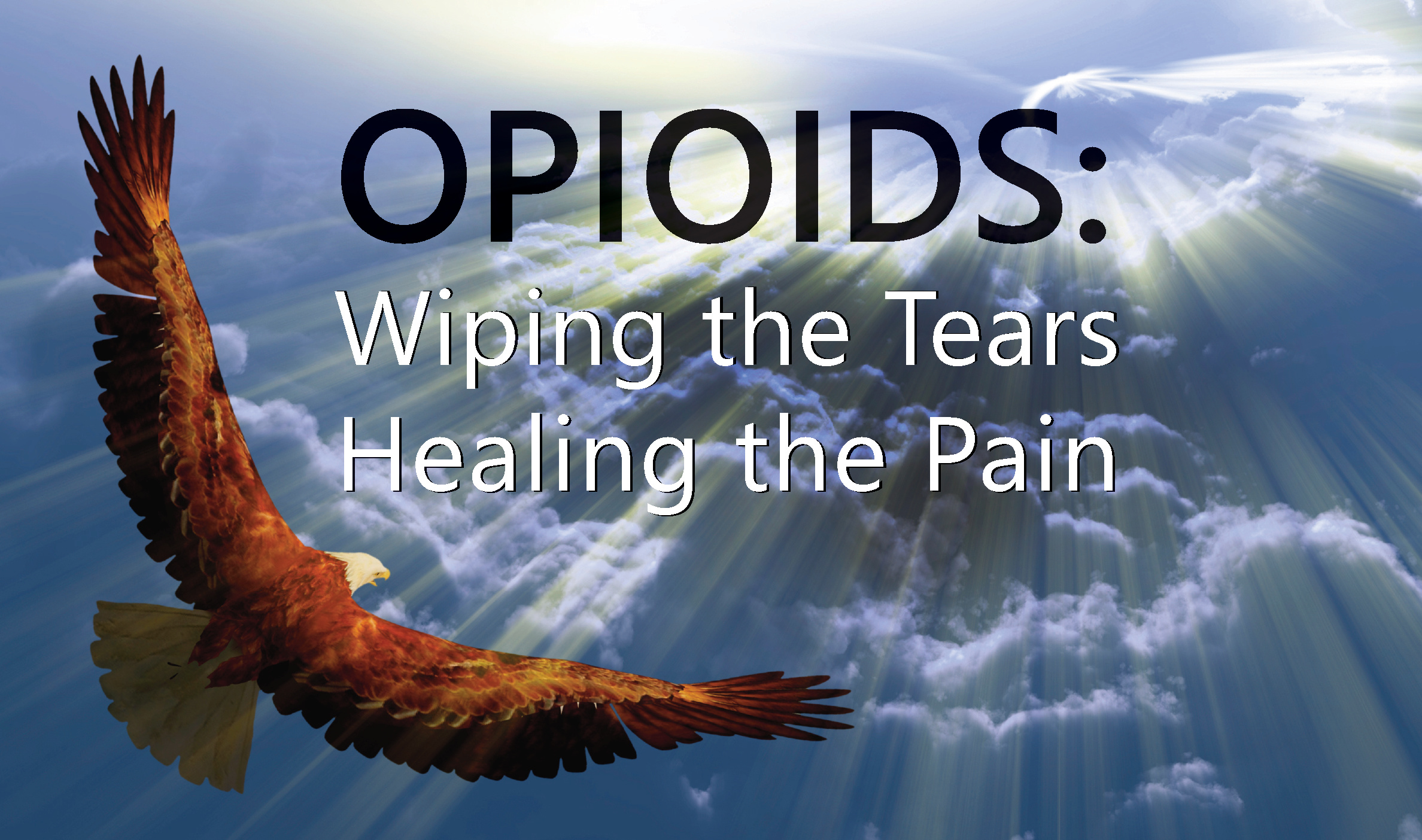 Opioids Wiping The Tears Healing The Pain Conference
