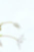 Mid-page-background-e1559299027279.jpeg
