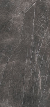 Sapienstone Pietra Grey