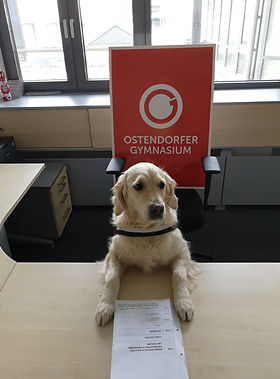 Elli Vertretung für den Chef.jpg